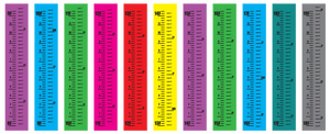 Standard Scales- Pole Vault